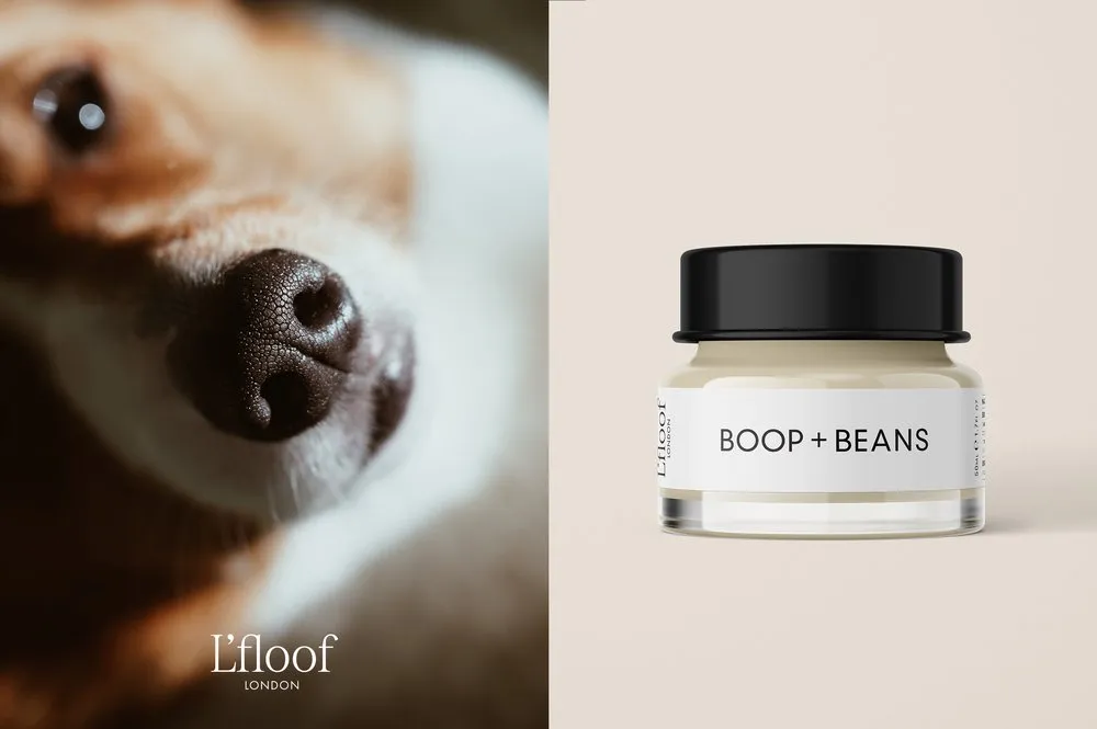 BOOP   BEANS | Natural Nose & Paw Balm