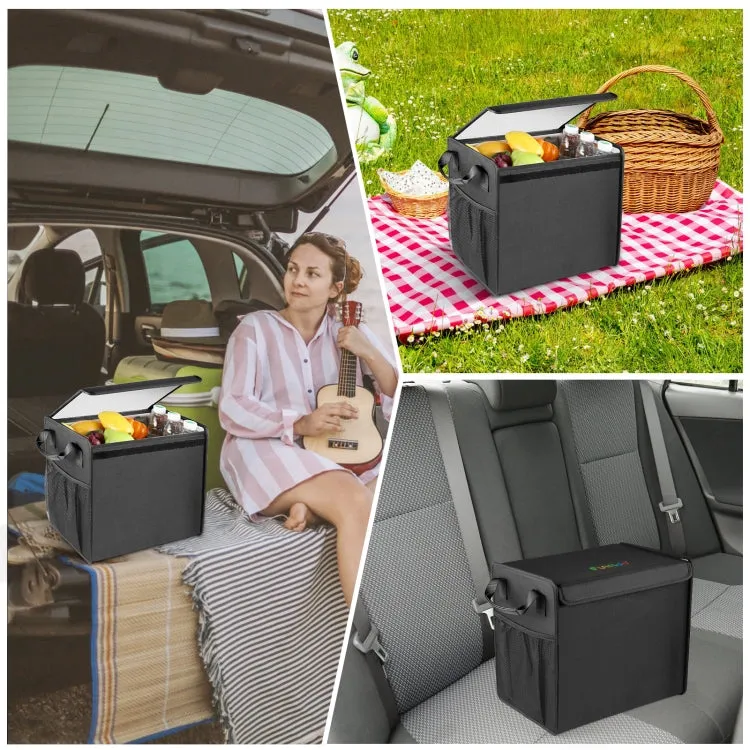 FunAdd Foldable Storage Fresh Box Vehicle Trunk Organizer Bag