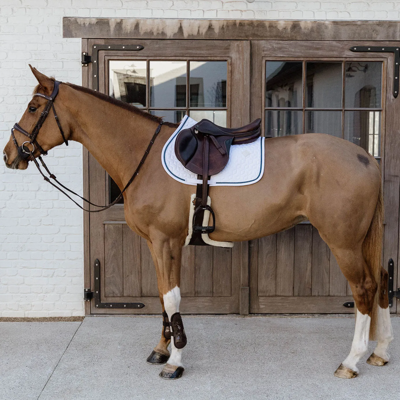 Kentucky Horsewear Glitter Rope Jumping Saddle Cloth - White/Navy