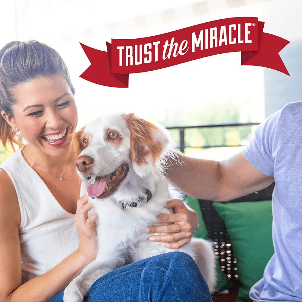 Nature's Miracle Stain and Odor Remover for Dogs