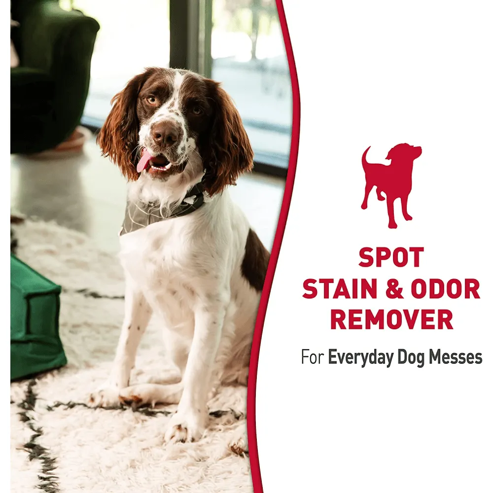 Nature's Miracle Stain and Odor Remover for Dogs