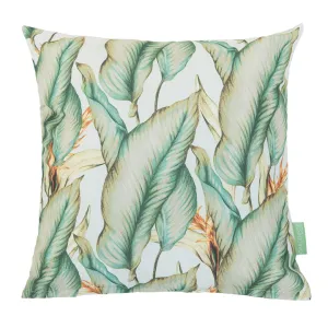 Palm Cushion Covers