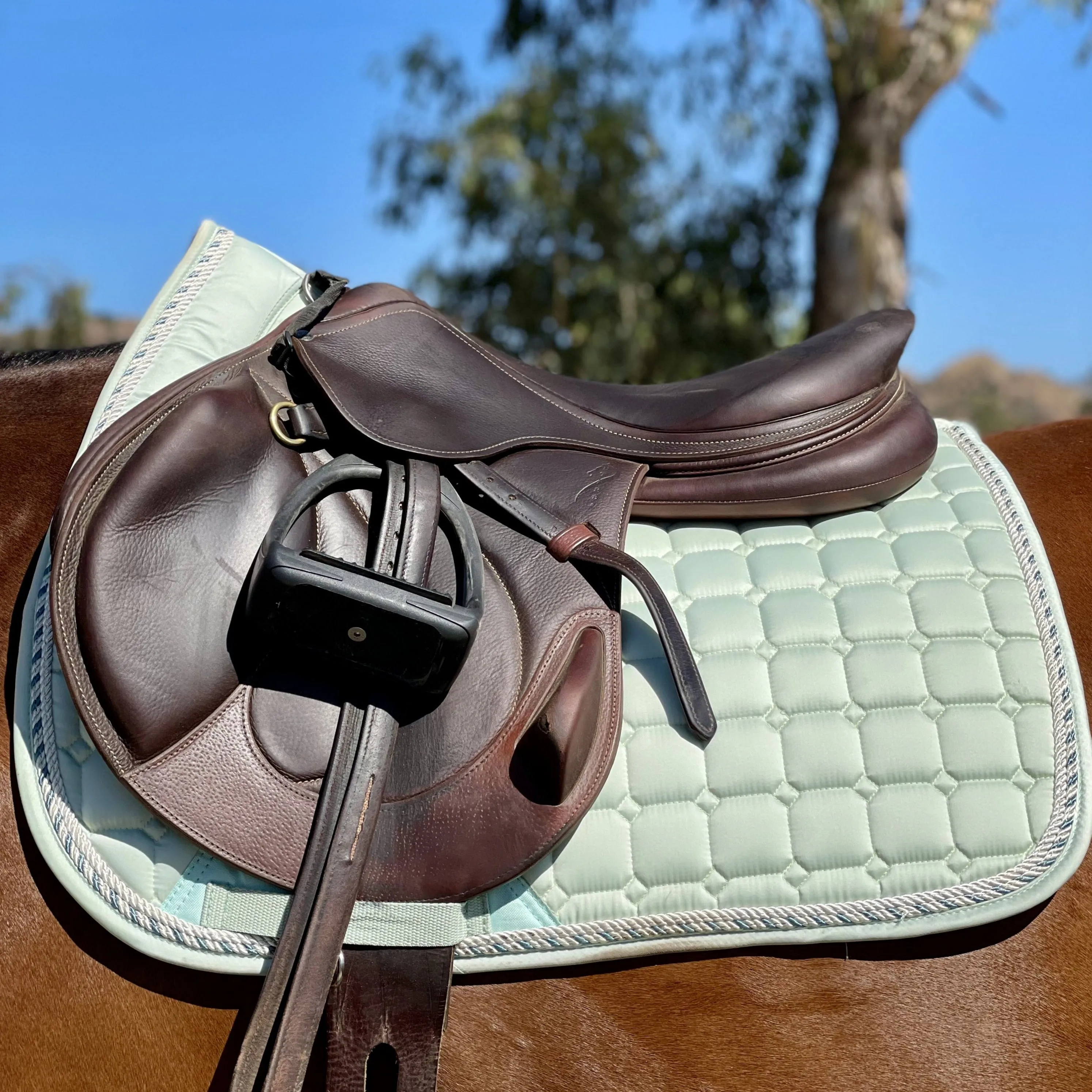 Satin Classic Jump Saddle Pad - Mint Sorbet